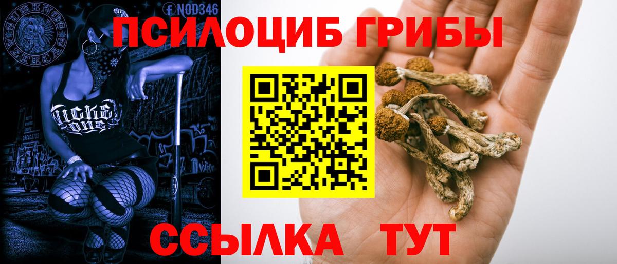 купить наркоту  Галлюциногенные грибы мухоморы  Вход с VPN  Лыткарино 