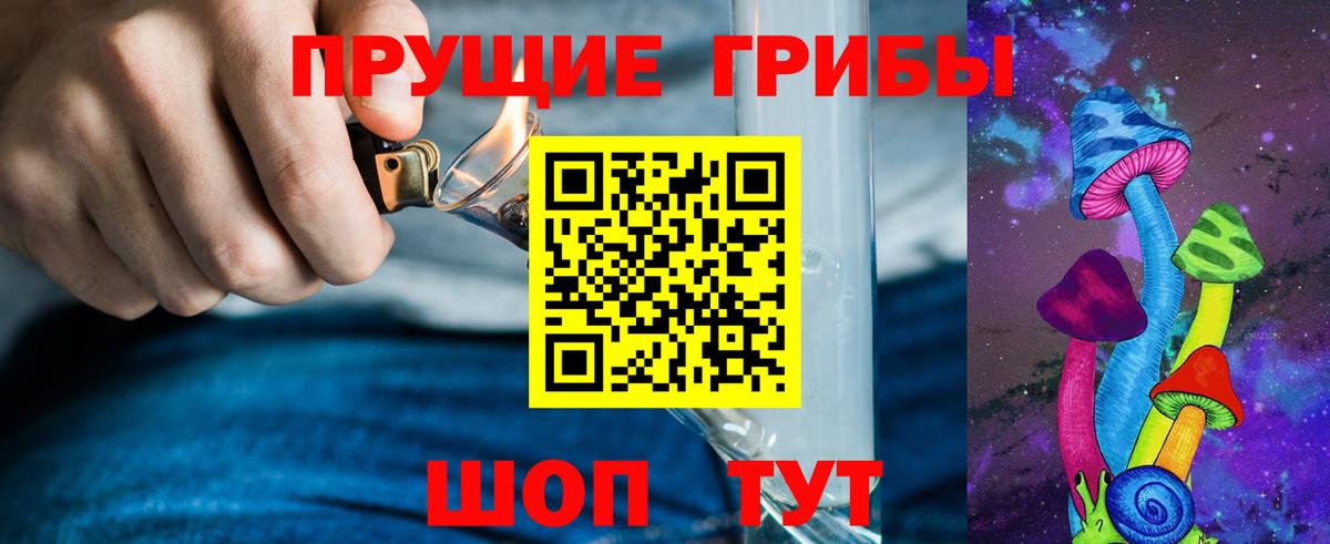 Галлюциногенные грибы Psilocybe Лыткарино
